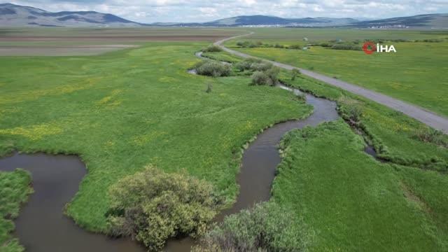 Ardahan ovasında akan derelerin oluşturduğu menderesler görsel şölen sunuyor