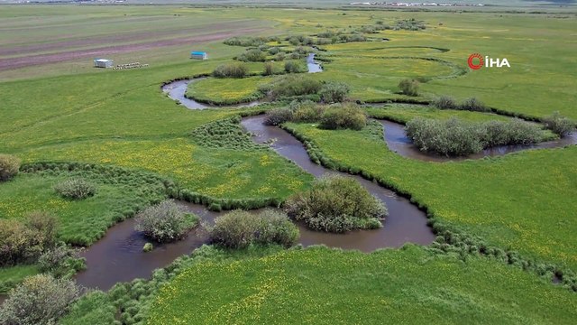 Ardahan ovasında akan derelerin oluşturduğu menderesler görsel şölen sunuyor