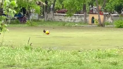 Top cambazı karga şaşırttı