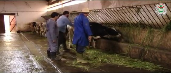 مسلسل فصول الحياة الحلقة 21 _ Fossol El Hayat