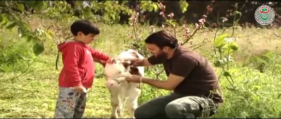 مسلسل فصول الحياة الحلقة 20 _ Fossol El Hayat