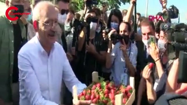 Kılıçdaroğlu, Aydın'da çiftçilerle çilek hasadı yaptı