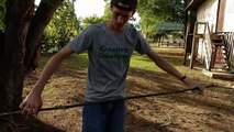 Diy Bamboo Bow And Arrow - How To Make An Easy Survival Bow