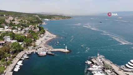 Deniz salyası ağları duman etti