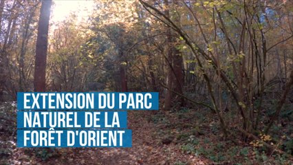 Extension du parc  naturel de la  Forêt d'Orient .
