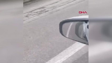 KÖPEĞİN AĞZINDAN ÇANTAYI ALIP SAHİBİNE ULAŞTIRDI