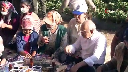 Kılıçdaroğlu Aydın'da çilek hasadına katıldı