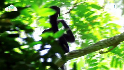 생방송 우리집 유치원 - 알록달록 스카프_#003