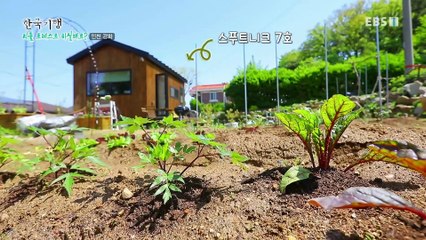 한국기행 - Korea travel_리틀 포레스트 하실래요? 4부- 간헐적 농부_#001