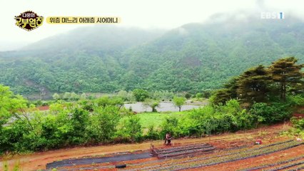 다문화 고부열전 - 위층 며느리, 아래층 시어머니_#003