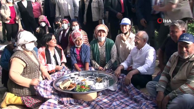 CHP Genel Başkanı Kılıçdaroğlu, Aydın'da çilek hasadına katıldı