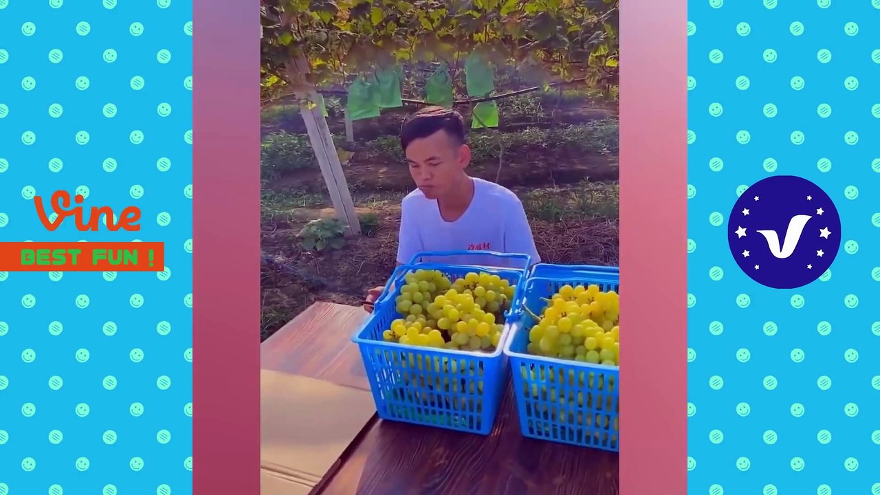 #19 AWW Best FUNNY Videos 2021  TOP People doing stupid things