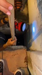 Kittens Delicately Rescued From Drain