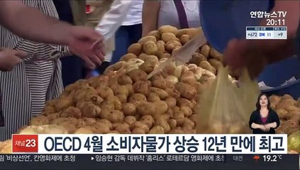 OECD 4월 소비자물가 3.3%↑…12년 만에 최고