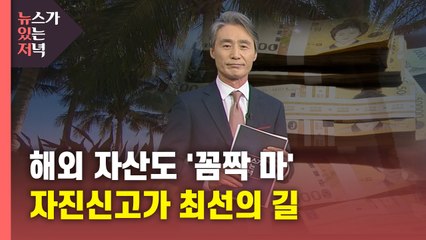[뉴있저] 해외 자산도 '꼼짝 마'...자진신고가 최선의 길 / YTN