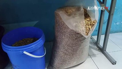 Jasa Roasting Kopi Bertahan saat Pandemi