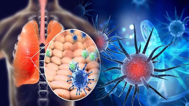 Coronavirus : क्या Seasonal Virus है Corona? जानिए WHO के इस दावे की सच्चाई । Boldsky