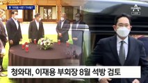 이재용 부회장 광복절 전후 석방 검토…靑, 방식 고민 중