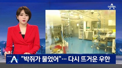 “박쥐가 물었어” 영상 복원…다시 뜨거운 우한 연구소