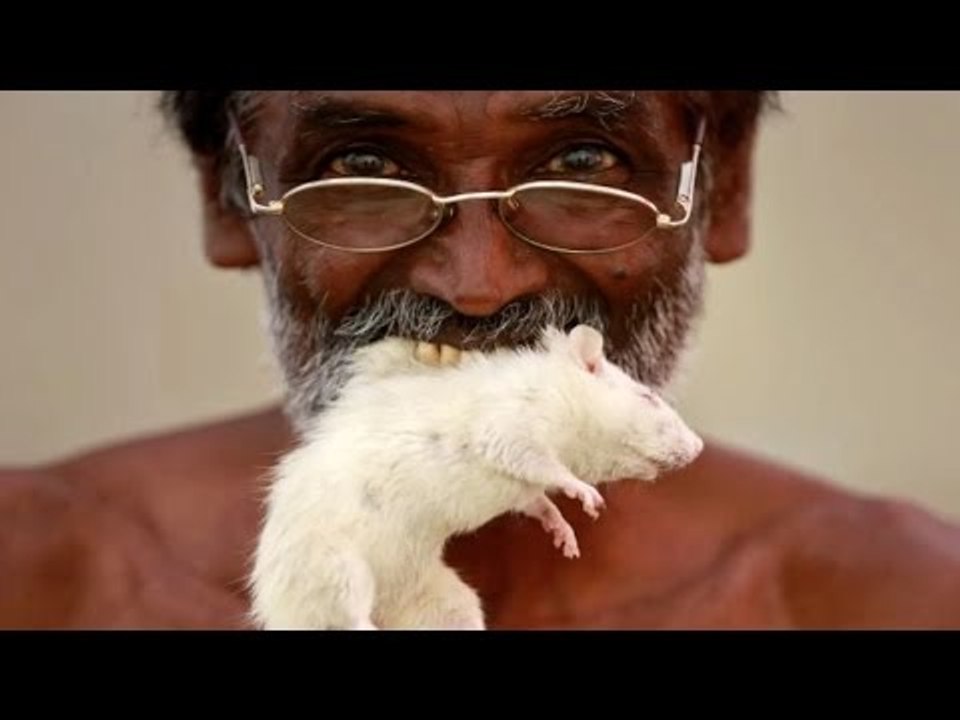 How Tamil Nadu Farmers Were Forced To Adopt Unprecedented Methods Of Protest