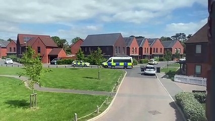 Man reportedly armed with offensive weapon is arrested