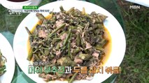 귀촌의 참맛! 자연에서 맛보는 머위 부추전과 두릅 참치 볶음!
