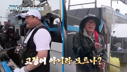 25시간 만에 찾아온 기회! 요동치는 초릿대, 이건 분명 참돔이야...!