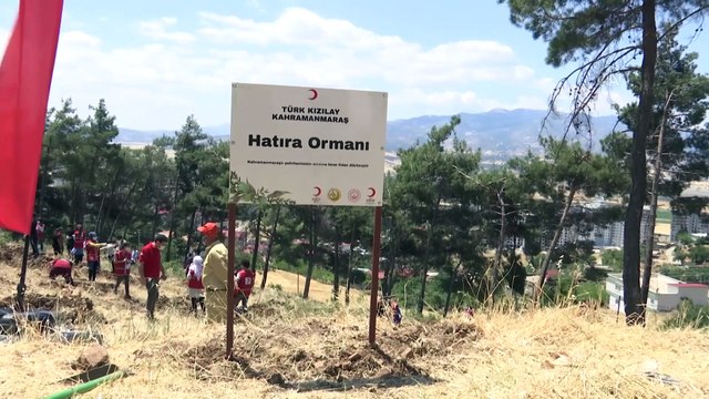 KAHRAMANMARAŞ - Yanan ormanlık alan, 452 şehit adına dikilen fidanlarla yeşerecek