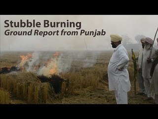 Ground Report: Why Farmers Are Burning Stubble In Punjab