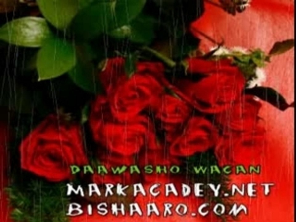 Sheeko Gaaban Marunbaa 2
