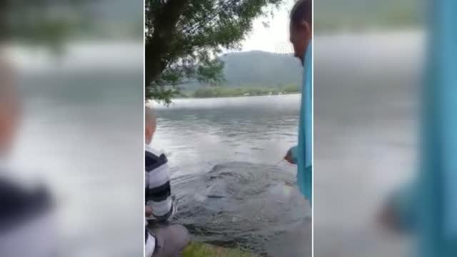 Amatör balıkçı Gölcük Gölü'nde 55 kiloluk yayın balığı yakaladı