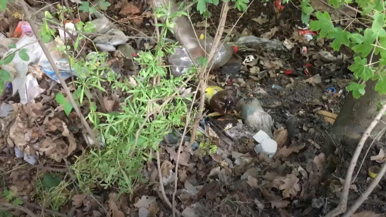Wilde Müllkippen in Serbien