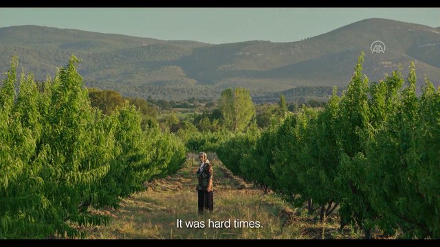 İSTANBUL - Semih Kaplanoğlu'nun 'Bağlılık Hasan' filmi, Cannes'da Türkiye'yi temsil edecek