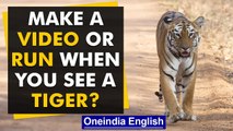 Bikers spot tigers in Maharashtra; record video instead of fleeing | Watch | Oneindia News