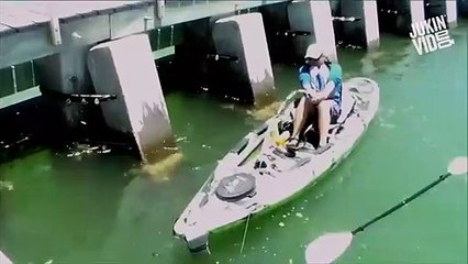 下载视频: Ce pecheur en kayak sort un monstre de l'eau : mérou géant grouper