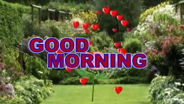 Good morning shayari video | गुड मॉर्निंग शायरी | good morning status | Good morning wishes | Good morning video |Photos|Good morning video Wallpaper