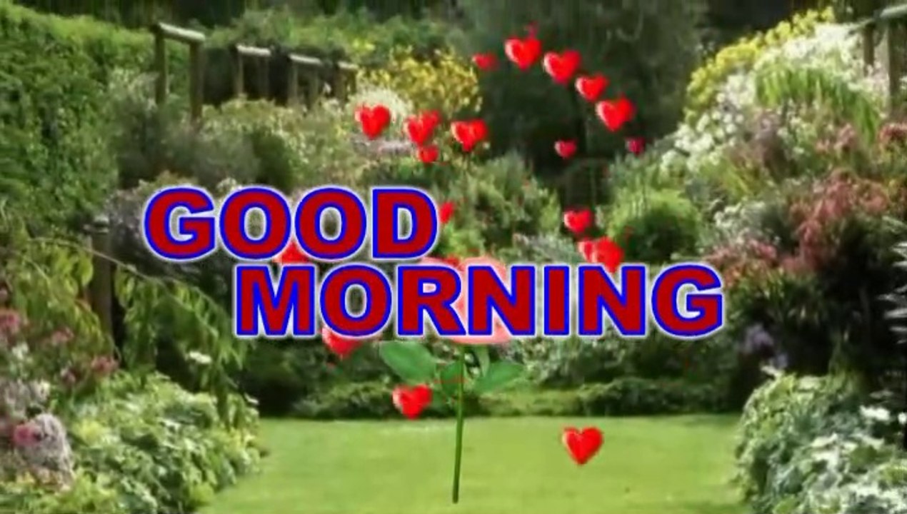 Good morning shayari video | गुड मॉर्निंग शायरी | good morning status | Good morning wishes | Good morning video |Photos|Good morning video Wallpaper