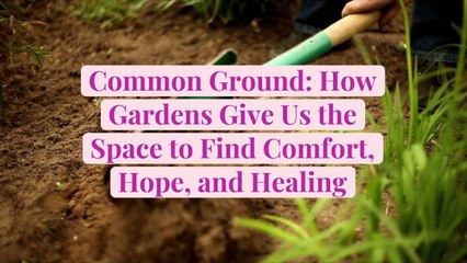 Common Ground: How Gardens Give Us the Space to Find Comfort, Hope, and Healing