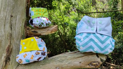 Emprendimiento verde: crean pañales para bebés con fibra de bambú