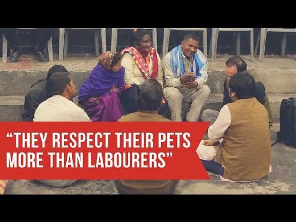 “They respect their pets more than labourers”