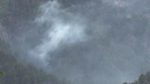 Son dakika haberleri: KAHRAMANMARAŞ - Orman yangınında 2 hektar alan zarar gördü