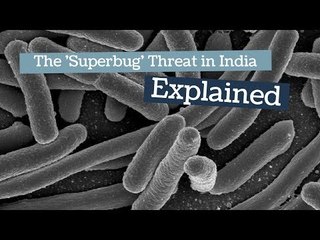‘Indian hospitals are full of Superbugs. They’re lying if they refute’