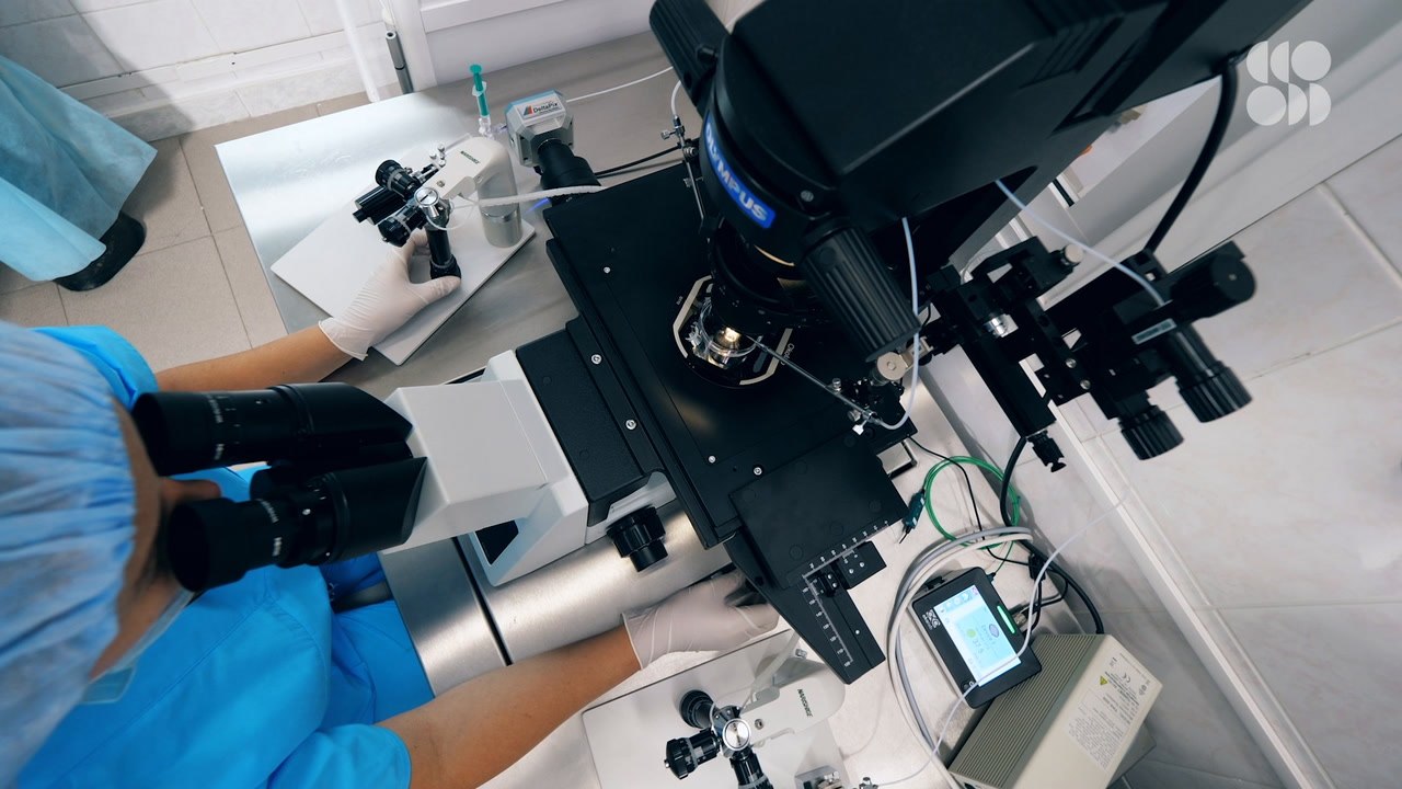 Why Scientists Might Drop the 14-Day Limit on Human Embryo Research