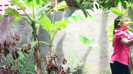 2 recipes with snakehead fishes | Bottle gourd fish soup recipe | Country Life