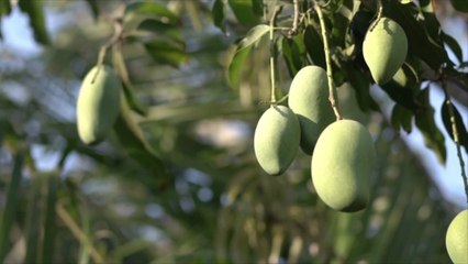 You Could Win $10,000 for a Trip to Your 'Happy Place'