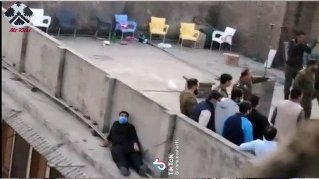 kite lovers flying kites on festival
