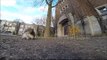 Squirrel steals GoPro and carries it up a tree