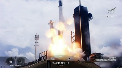 Calamares viajan hacia la Estación Espacial Internacional para un experimento