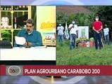 Pdte. Nicolás Maduro aprueba siete programas que conforman el Plan Agrourbano Carabobo 200