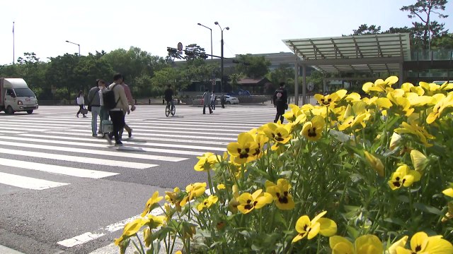 [날씨] 오늘 전국 맑고 포근...주말 초여름 더위 / YTN